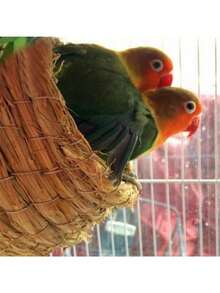 手工稻草鸟巢/鸽舍/鹦鹉窝 温暖宠物卧室庭院鸟笼装饰 - 摩卡棕 - 查看 3