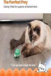 Catstages Green Magic Dynamite Stick Catnip Cat Toy - ColorG - View 3