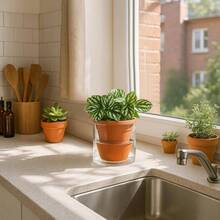 4 Inch Small Design Self Watering Pot Indoor Plants, Terracotta Planter with Cylinder Glass Cup, Set of 1, 372 - A - 1 - 1 + 4 pulgadas - Ver 7