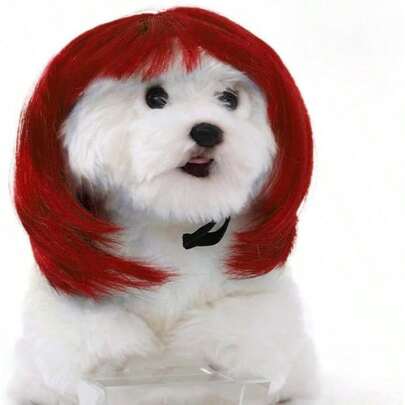 YPeluca de perro Disfraces para mascotas Disfraces para mascotas Peluca de cosplay para perros Peluca de perro rizada divertida con bandas elasticas ajustables Pelucas para mascotas Decora