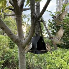 1个带防雨顶棚和易于安装的种子托盘的悬挂式喂鸟器 - 耐用塑料户外鸟屋，适用于红雀、蜂鸟、雀类 - 无需用电，花园野生动物喂食站，户外喂鸟器，自然环境，易于安装设计