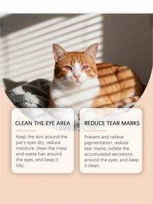 Pet Tear Stain Remover Cream, Gentle Cleaning For Cat And Dog Tear Stains, Eye Care Cleaning Paste - Multicolor - View 3