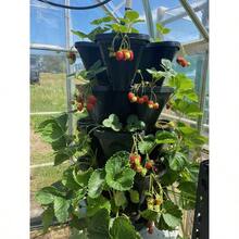 - Medium 5 Tier Stacking Planter Vertical Garden 33cm Width Planters Black - Black - View 4