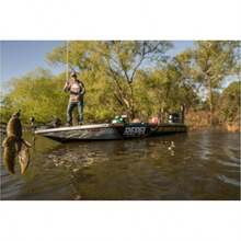 MaxScent Hawg, Popular styles for  2025 year - Calabaza verde + 10 cm - Ver 5