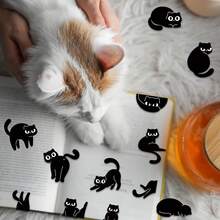 Memo Clips & Memo Boxes