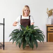 Artificial Foods - Topfpflanzen (ohne Töpfe Oder Körbe): 2er-pack, 122 cm Durchmesser - View 1