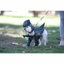 YCalifornia Costumes Collections PET20169 Disfraz de pupasaurus rex para perro talla XS - XS+Gris - Ver 2