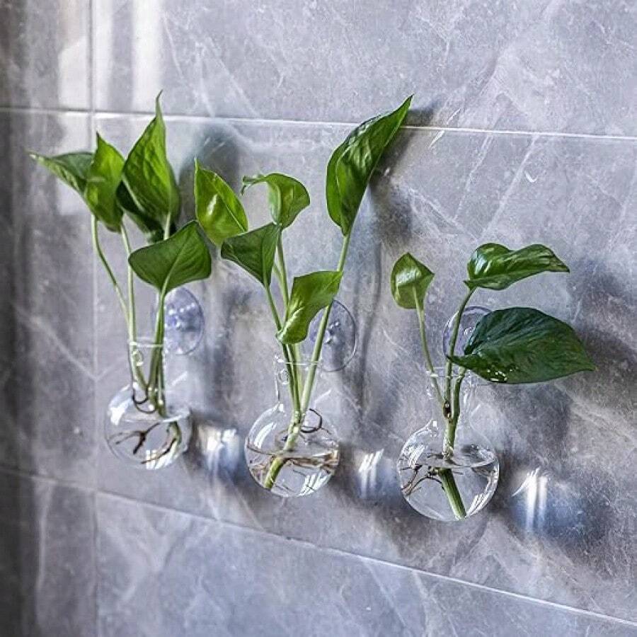 1 Piece Wall Mounted Flower Pot Propagation Station Hydroponic Plant Glass Vase Bathroom Home Office Living Room Decoration Gift Oval