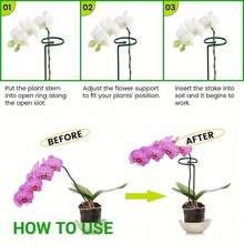 Metal Garden Plant Stakes - 5pcs/10pcs Single Stemmed Flower Support Hoops - Plant Support Structure For Amaryllis, Orchid Lily Rose Peony - Green - View 7