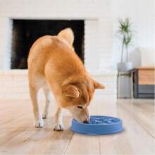 Small Fun Feeder Slow Bowl Puzzle For Fast Eaters Puppies Cats And Small Dogs Wet Or Dry Food Helps Prevent Bloat And Aid Digestion 3/4 Cup Capacity Non-Slip Made Without BPA Pink - 粉紅色+中號 - 查看 6