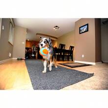 Chuck It Pelota Suave Indoor, Colores Surtidos - 1 Pieza - Ver 6