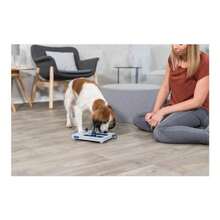 Mini Mover Dog Enrichment Toy Advanced Level 3 Dog Puzzle Interactive Treat Game - Mini Mover+Level 3 - View 2