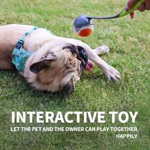 Lanzador de pelotas de perro para perro con lanzador de pelotas de tenis - inicial - Ver 6