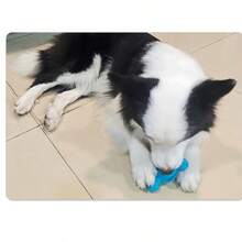 Grind Teeth, And Leak Food To Relieve Stress. Beef Strips, Cheese, Steel Plate Bones, And Dog Toys Can Be Added - Multicolor - View 5