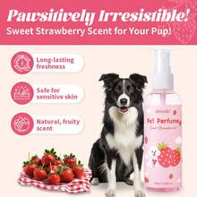 100毫升/3.38盎司高级宠物护理喷雾，持久草莓香味，除臭滋养，适合所有毛发类型 - 草莓口味 - 查看 3