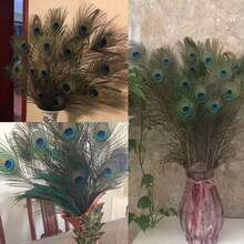 20pcs/40pcs/100pcs 25-30 Small Eyed Peacock Feather Home Decoration Peacock Feather Jewelry DIY Handmade Peacock Feather Fan - Green - View 10