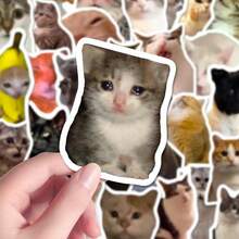 101 piezas Paquete de pegatinas de memes de gatos divertidos - Calcomanías de vinilo impermeables lindas para teléfono, computadora portátil, scrapbook, decoración estética DIY - Multicolor - Ver 4