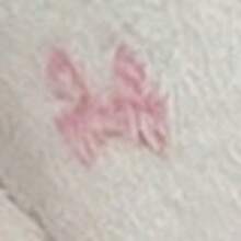 1pc Women's Black Bow Print Robe, Elegant & Fashionable, Thick & Warm For Autumn/Winter, Comfortable For Outdoor, Vacation, And Loungewear - Pink - View 9