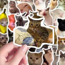 101 piezas Paquete de pegatinas de memes de gatos divertidos - Calcomanías de vinilo impermeables lindas para teléfono, computadora portátil, scrapbook, decoración estética DIY - Multicolor - Ver 5