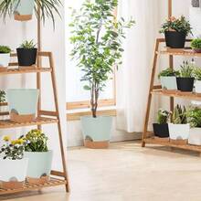 Outdoor Storage - 3 + Green - View 4