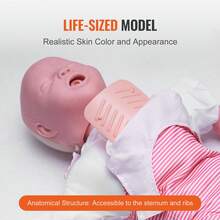 Modelo de infarto de  para bebés, maniquí de entrenamiento para obstrucción de las vías respiratorias, enseñanza de RCP - enseñanza de RCP - Ver 4