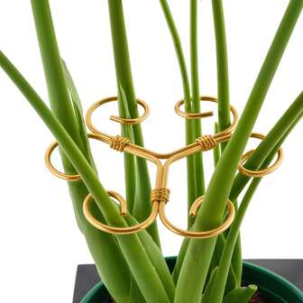 3 Piezas Soporte de Hierro para Monstera, Ganchos de Soporte para Tallos de Plantas - Tallos de Metal Duraderos, Soportes de Plantas de Diseño Único para Plantas de Interior, Estacas y Soportes de Plantas Estables, Conjunto de Abrazaderas de Bambú con Caparazón de Tortuga, Soportes de Agarre Fáciles de Usar, Estabilización de Plantas de Interior, Soporte para Monstera y Cactus Espina de Pescado, Fácil Instalación, Regalo Ideal para Amantes de las Plantas y Decoración del Hogar