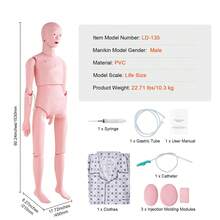 Maniquí de entrenamiento de enfermería , maniquí humano de demostración de tamaño natural masculino para entrenamiento de enfermería, suministros de modelo de enseñanza de educación multifuncional, modelo de simulador de cuidado corporal de maniquí anatómico de PVC - Hombre - Ver 7