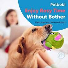 Juguetes interactivos para perros con bola rodante activa para perros con pilas, incluye bolas automviles y cubierta de felpa masticable para perros pequeos y medianos para perseguir y jugar automticamente, Rock Bobby - inicial - Ver 8