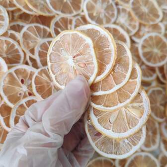 1pc/5pcs/10pcs/15pcs/20pcs/30pcs Set Realistic Dried Lemon/Orange Slices, Suitable For Crafts, Decoration, Candle Making, Soap Making, Fragrance, Home Decor In Living Room, Bedroom, Office, Cafe For All Holidays And Parties