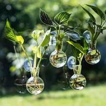 1 Piece Wall Mounted Flower Pot Propagation Station Hydroponic Plant Glass Vase Bathroom Home Office Living Room Decoration Gift Oval