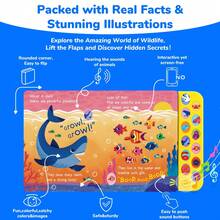 10 种动物的声音，海洋动物声音书，动物概念早期学习的有声读物，孩子们最喜欢的玩具互动礼物，感官游戏，电动发声机，最好的圣诞节、新年、万圣节、生日礼物，学校用品，课堂使用，家庭教育，睡前故事 - 彩色 - 查看 6