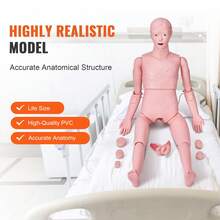 Maniquí de entrenamiento de enfermería , maniquí humano de demostración de tamaño natural masculino para entrenamiento de enfermería, suministros de modelo de enseñanza de educación multifuncional, modelo de simulador de cuidado corporal de maniquí anatómico de PVC - Hombre - Ver 2