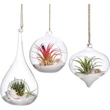 3 Pack Glass Hanging Planter Air Fern Holder Terrarium Plants Hanger Vase, Home Christmas Decoration Gifts For Plant Lovers, Succulent Moss Tillandsias Air Plants Globe (Plant Not Included) - 預設 - 查看 8
