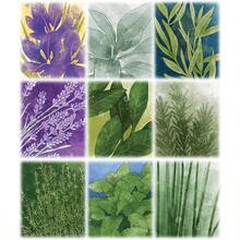 Herbaceous Game, Popular styles for  2025 year - Plantas herbáceas - Ver 4