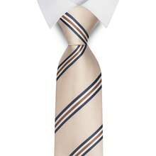 AlanKing 1pc Striped Necktie, Suitable For Business, Formal Events, And Daily Suit Wear - Color Mixing - View 19