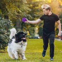 1/2/3/4 Pieces Pet Chewy Tip Ball Soft TPR Dog Toy Floating Dog Pool Toy For Reducing Anxiety Throwing Catching Toy To Prevent Boredom And Clean Teeth Dog Chew Toy For Interaction, Suitable For Small And Medium Pets, No Batteries Required