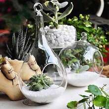 3 Pack Glass Hanging Planter Air Fern Holder Terrarium Plants Hanger Vase, Home Christmas Decoration Gifts For Plant Lovers, Succulent Moss Tillandsias Air Plants Globe (Plant Not Included) - 預設 - 查看 6