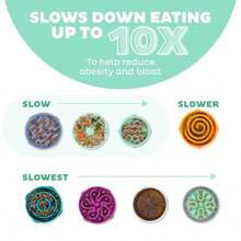 Small Fun Feeder Slow Bowl Puzzle For Fast Eaters Puppies Cats And Small Dogs Wet Or Dry Food Helps Prevent Bloat And Aid Digestion 3/4 Cup Capacity N-Slip Made Without BPA Mint - Bạc hà + Nhỏ - Xem 4