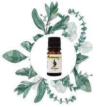 Producto con eucalipto/aromatiza/resfriado/aceite esencial - Múltiples aromas - Ver 3