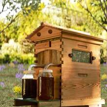 Active Hive Bee Hives Boxes Starter Kit - With 7 Honey Flowframes, Bee Beekeeping Starter Kit - Màu Mù tạt vàng - Xem 7