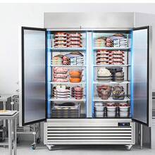 Congelador comercial  de 44.21 pies cúbicos, vertical de 54.4" de ancho, 2 puertas, descongelación automática, de acero inoxidable, con 8 estantes ajustables, control de temperatura de -13 a 5 °F, iluminación LED y 4 ruedas. - 44,21 pies - Ver 9