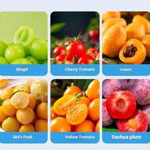 RAF 电动葡萄削皮器、番茄削皮器、大蒜削皮器、可充电自动水果削皮器、厨房果蔬削皮器、商用奶茶店水果削皮器、家用削皮器——显著提高食品加工效率，食品加工 - 多色1 - 查看 7