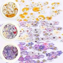 9 Boxes Of Nail Art Wood Pulp Pieces, Floral Pattern Nail Art Decoration,DIY Nail Charms Nail Gems Nail Supplies, Nail Ornaments Suitable For DIY Ladies Nail Patches, Nail Technician Ladies Must Have Nail Charm Nail Technical Supplies, Professional Nail Art Supplies Mother's Day Gift, Girls' Artistic Nails - Nhiều màu - Xem 8