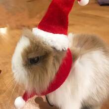 圣诞蜥蜴服装套装 - 红色圣诞帽和围巾，适合爬行动物和两栖动物的节日服装，蜥蜴配件，带可调节弹性下巴带的圣诞爬行动物和雪貂帽，小型宠物圣诞礼物