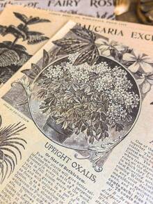 1 包 30 张复古英文手稿字母 DIY 剪贴簿装饰背景纸 - 均碼 - 查看 8