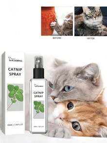 Spray de menta para cães e gatos, desodorizante, adestramento, limpeza e cuidados. O spray de menta para gatos pode aliviar o estresse, acalmar e restaurar. Suprimentos para animais de estimação/Produtos de limpeza para animais de estimação/Banheiro para animais de estimação Suprimentos para animais de estimação/Produtos de limpeza para animais de estimação/Suprimentos para animais de estimação/Suprimentos para animais de estimação/Acessórios para limpeza de animais de estimação Suprimentos para animais de estimação/Suprimentos de limpeza para animais de estimação/