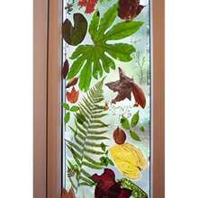 D-C-Fix 346 – 0017 decorativo autoadhesivo película de la ventana, Brillante transparente,(17.71" x 78" Roll) - Multicolor - Ver 6