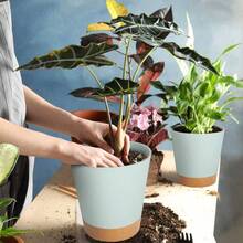 Macetas de/6.5/6/5.5/5 Pulgadas con Orificio de Drenaje, macetas de plstico, Maceta de jardn para Todas Las Plantas de casa, Violeta Africano, Flores y Cactus, Verde - 7+6.5+6+5.5+5 pulgadas + 7- verde - Ver 7