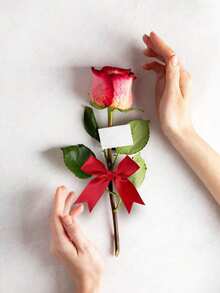 30/50pcs Satin Ribbon Bows Knot,Red Bowknots For Party Crafts & Gift Wrapping,Birthday Wedding Gift Decor,DIY Hair Clip Accessory,Flower Packaging,Party DIY Bow Ribbon Decor,Birthday Party Baking Decor,Party Favor,Christmas Decorations,Gift Packing Decor,Xmas Decor - Burgundy - View 4