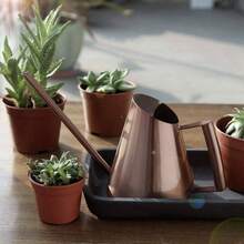 - Regadera de Acero Inoxidable slido con Boquilla Larga para bonsi, Plantas de Interior, jardn, Plantas Verdes, Flores, hervidor de riego de mltiples capacidades Opcionales 900 ml - 900 ml - Ver 4